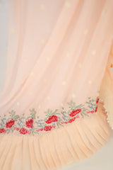 Umer Aayan 01-ALIZEH