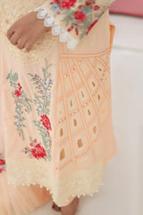 Umer Aayan 01-ALIZEH