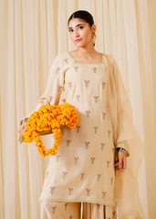 Chamak Dhamak By Pashma Khan Eid Collection'2025-Afrozeh