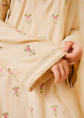 Chamak Dhamak By Pashma Khan Eid Collection'2025-Afrozeh