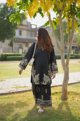 Mehr'e Eid By Qariney Stitched 2 Piece Lawn Collection'2025-Black Aura