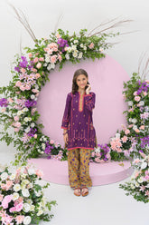 Silah By Fresh Bird Stitched 2 Piece Festive Summer Collection'2025-Insia