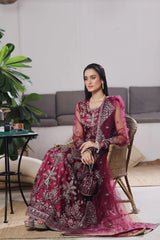 Dressline Semi Stitched 3 Pc Luxury Emb Net Collection