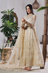 Dressline Semi Stitched 3 Pc Luxury Emb Net Collection