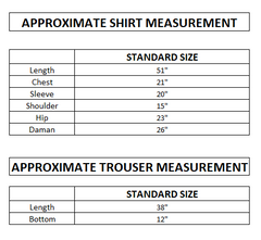 Heeriye Printed Co-Ord Set (Pret) - L001