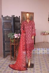 A traditional Pakistani three-piece dress displayed on a mannequin, consisting of a red embroidered shirt, matching red trousers, and a red printed dupatta.