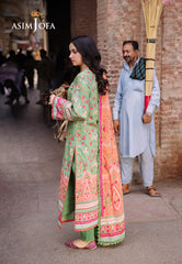 Asim Jofa Basic Print Union Ajbb-13 Printed Lawn 3 Pcs
