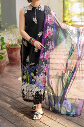 Meraki By Asifa Nabeel Unstitched 3 Piece Digital Printed Lawn Vol-02 Collection'2024-MK-14-Surma