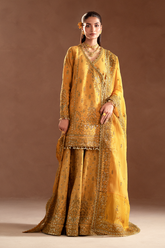 Selene Korean by Emaan Adeel Unstitched 3 Piece Raw Silk Suit-Veloria