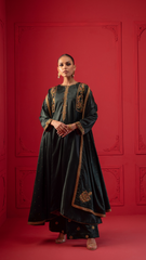 Baraysham By Najia Zia Stitched 2 Piece Winter Collection'2025-Morni