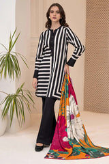 Heeriye Printed Co-Ord Set (Pret) - 1014
