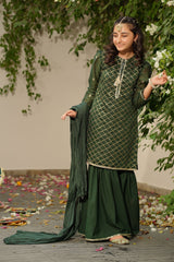 Ochre Clothing Slub Manar Embroidered 3 Pc Suit Collection'2025-SHD-10