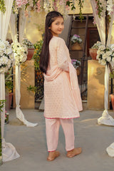 Zari Jacquard Hand Adda Work 3 Pc Suit - Wear Ochre