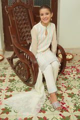 Chiffon Embroidered 3 Pc Suit - Wear Ochre