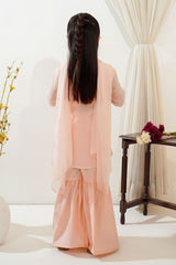 Ochre Clothing Toddlers Eastern Chiffon Embroidered 3 Pc Suit