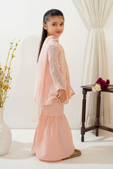 Ochre Clothing Toddlers Eastern Chiffon Embroidered 3 Pc Suit