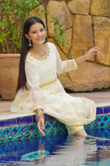 Chiffon Hand Adda Work 3 Pc Suit - Wear Ochre