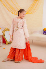 Ochre Clothing Stitched 3 Piece Emb Cotton Silk Collection'2025-SHD-16