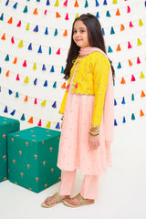 Chiffon Embroidered 3 Pc Suit - Wear Ochre