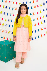 Chiffon Embroidered 3 Pc Suit - Wear Ochre