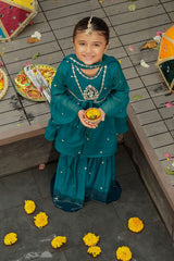 Ochre Clothing Chiffon Embroidered 3 Pc Suit Collection'2025-INSHD-07