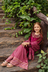 Ochre Clothing Velvet Hand Adda Work 3 Pc Suit Collection'2025-OVF-39