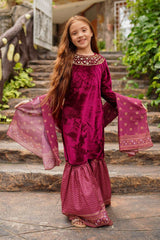 Ochre Clothing Velvet Hand Adda Work 3 Pc Suit Collection'2025-OVF-39