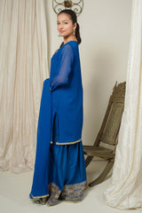 Chiffon Hand Adda Work 3 Pc Suit