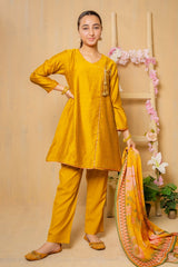 Ochre Clothing Cotton Net 3 Pc Suit