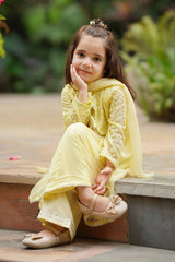 Ochre Clothing Chiffon Embroidered 3 Pc Suit