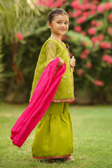 Ochre Clothing Organza Embroidered 3 Pc Suit Collection'2025