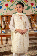 Chiffon Embroidered 3 Pc Suit - Wear Ochre