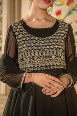 Chiffon Embroidered 3 Pc Suit - Wear Ochre