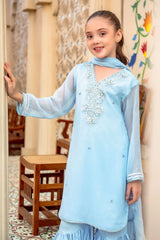 Chiffon Hand Adda Work 3 Pc Suit - Wear Ochre