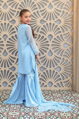 Chiffon Hand Adda Work 3 Pc Suit - Wear Ochre