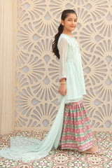 Ochre Clothing Girls Full Suits Chiffon Hand Adda Work 3 Pc Suit