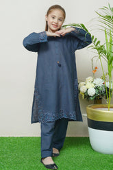 Whimsical Winters By Shanzey Stitched 2 Piece Emb Khaddar Suit-SHK-3111
