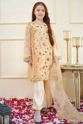 Rangon Ki Bahar By Shanzey Stitched 3 Piece Formals Collection'2025-SHK-3904