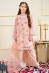 Rangon Ki Bahar By Shanzey Stitched 3 Piece Formals Collection'2025-SHK-3905