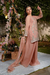 Sprinkles Stitched Formals Festive Kids-Zeenat-e-Peach - 3pcs