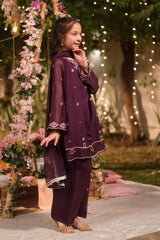 Sprinkles Stitched Formals Festive Kids-Zarlish - 3pcs