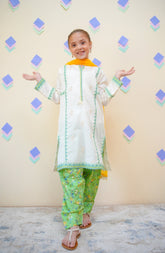 Shanzey Stitched 3 Piece Emb Lawn Farshi Edit Collection'2025-SHK-4431