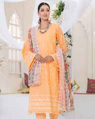 Umer Aayan Splendid - Premium Chikenkari Lawn Collection â?? (DS â?? 06)