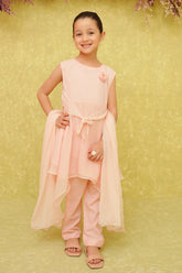 Chiffon Embroidered 3 Pc Suit - Wear Ochre