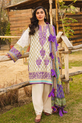 Meraki by Asifa N Nabeel Unstitched 3 Piece Lawn Collection'2024-Alyssa