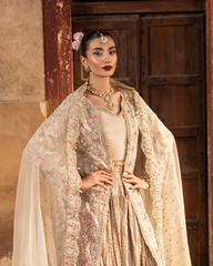 Ember Festive By Aylin Unstitched 3 Piece Formals Collection'2025-Dream Gold