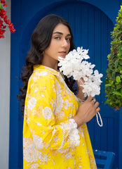 Women Dress