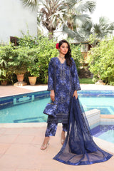 Hermosa By Dr Haris Semi Stitched Formals Collection-(Complimentary Clutch & Jewellery)-Her-003
