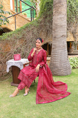 Hermosa By Dr Haris Semi Stitched Formals Collection-(Complimentary Clutch & Jewellery)-Her-005