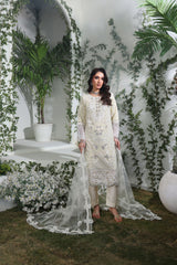 Dr Haris Semi-Stitched 3 Piece Formals Collection-DRF-002